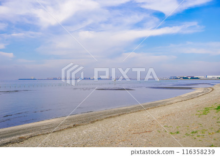 船橋三番瀨海濱公園的灘塗春天的早晨（千葉縣船橋市） 116358239