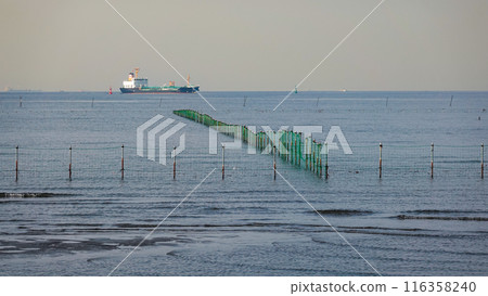 A spring morning on the tidal flats of Funabashi Sanbanze Seaside Park (Funabashi City, Chiba Prefecture) A spring morning on the tidal flats of Funabashi Sanbanze Seaside Park (Funabashi City, Chiba Prefecture) 116358240