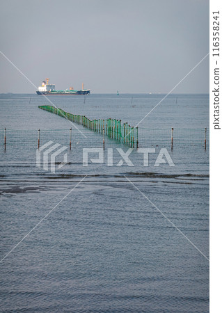 船橋三番瀨海濱公園的灘塗春天的早晨（千葉縣船橋市） 116358241