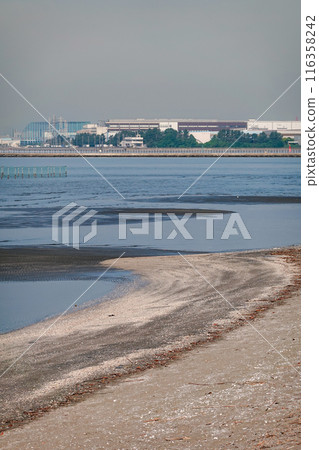 A spring morning on the tidal flats of Funabashi Sanbanze Seaside Park (Funabashi City, Chiba Prefecture) A spring morning on the tidal flats of Funabashi Sanbanze Seaside Park (Funabashi City, Chiba Prefecture) 116358242