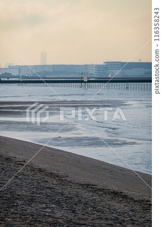A spring morning on the tidal flats of Funabashi Sanbanze Seaside Park (Funabashi City, Chiba Prefecture) A spring morning on the tidal flats of Funabashi Sanbanze Seaside Park (Funabashi City, Chiba Prefecture) 116358243