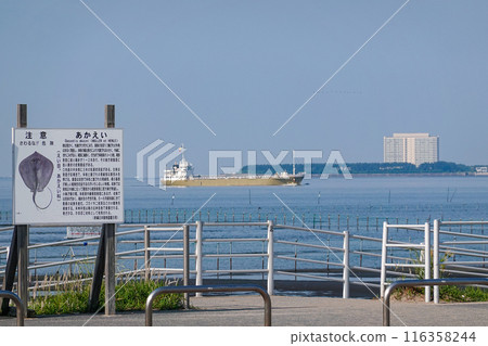 船橋三番瀨海濱公園的灘塗春天的早晨(千葉縣船橋市) 船橋三番瀨海濱公園的灘塗春天的早晨(千葉縣船橋市) 116358244