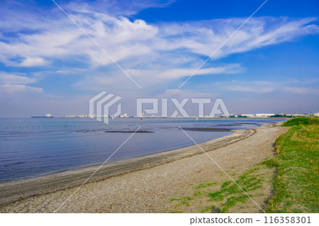 船橋三番瀨海濱公園的灘塗春天的早晨（千葉縣船橋市） 116358301