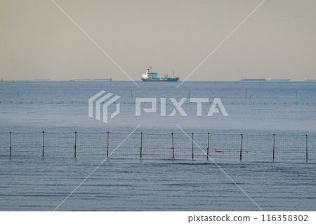 船橋三番瀨海濱公園的灘塗春天的早晨（千葉縣船橋市） 116358302