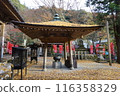 龍藏寺 秋天 116358329
