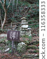 龍藏寺 秋天 116358333