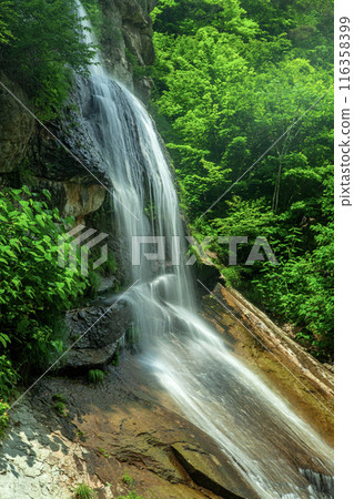 Fujihana Falls 116358399