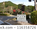 Rurikoji 116358726