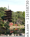 Rurikoji 116358730