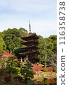 Rurikoji 116358738