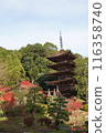 Rurikoji 116358740