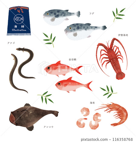 各種魚類的水彩風格插畫集（4） 116358768