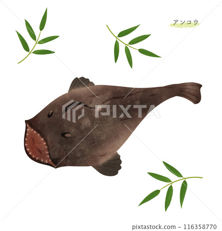 Watercolor illustration of anglerfish 116358770