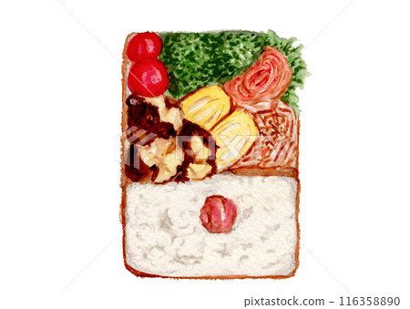 Bento, hand-painted watercolor, 116358890