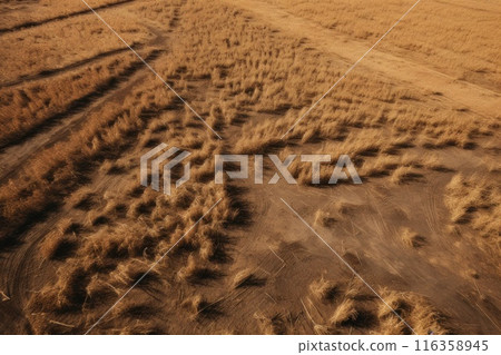A striking image of a farmer tilling dry, barren soil in a challenging arid landscape, embodying the resilience and determination needed to sustain agriculture in harsh conditions A striking image of a farmer tilling dry, barren soil in a challenging arid landscape, embodying the resilience and determination needed to sustain agriculture in harsh conditions 116358945