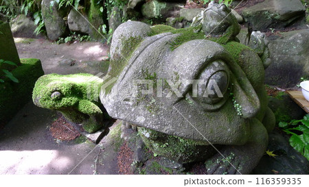 Fukazawa Zeniarai Benten (Tonosawa Station) 116359335