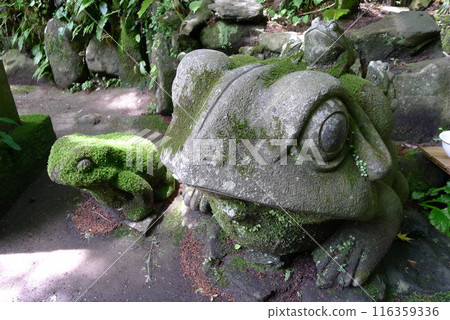 Fukazawa Zeniarai Benten (Tonosawa Station) 116359336