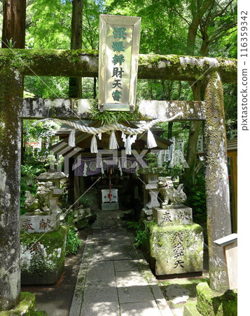 深澤錢洗弁天(塔澤站) 深澤錢洗弁天(塔澤站) 116359342