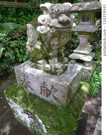 深澤錢洗弁天(塔澤站) 深澤錢洗弁天(塔澤站) 116359343