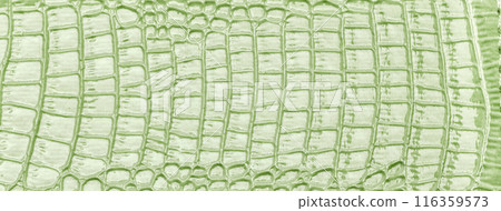 Texture of light green leather fabric background with pattern, macro. Structure of pastel olive textile backdrop 116359573