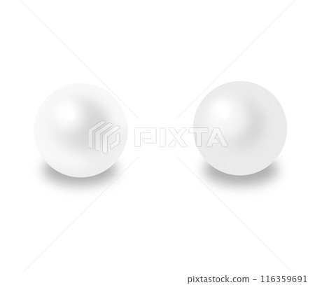 Realistic illustration of elegant pearls 116359691