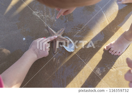 A woman is pointing at a starfish on the beach A woman is pointing at a starfish on the beach 116359732