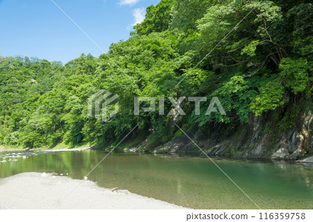 [Doshi River in early summer] 116359758