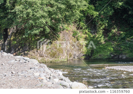 [Doshi River in early summer] 116359760