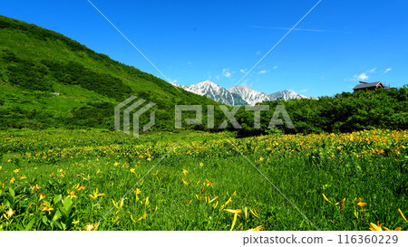 View of the Hakuba mountain range from Kamachi Marsh 116360229