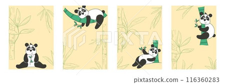 Set of flyers about panda with bamboo 116360283