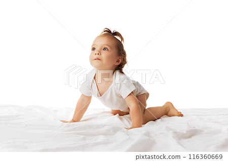 Curious baby girl, toddler in bodysuit crawling on bed, playing, moving isolated on white background. Active kid 116360669