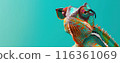 Photo of a chameleon wearing sunglasses on an isolated green background. 116361069