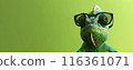 Photo of a chameleon wearing sunglasses on an isolated green background. 116361071