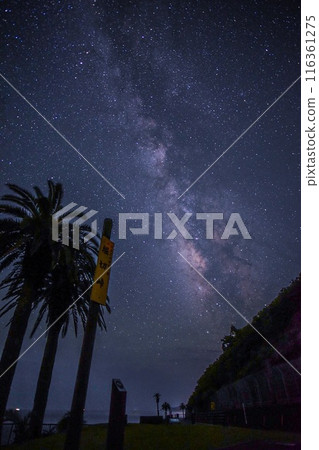 Looking up at the Milky Way along the coast 116361275