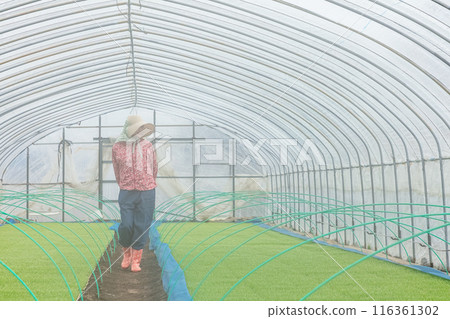 Female farm workers Female farm workers 116361302
