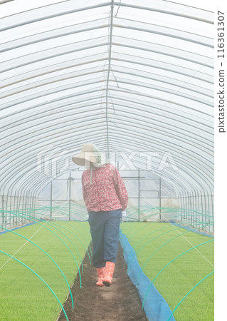 女農場工人 女農場工人 116361307