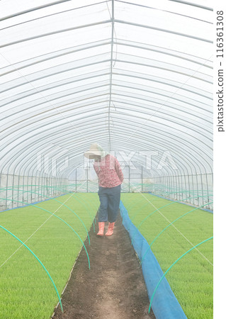 Female farm workers Female farm workers 116361308
