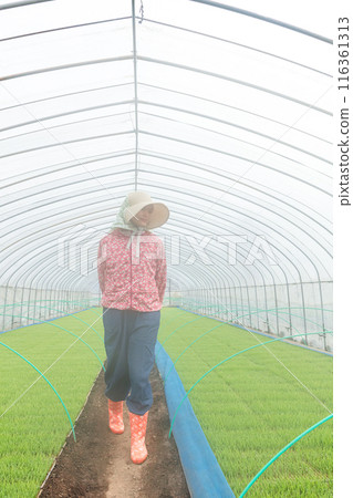 Female farm workers Female farm workers 116361313