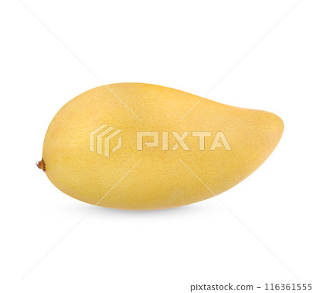 Mango fruit isolated on white background Mango fruit isolated on white background 116361555
