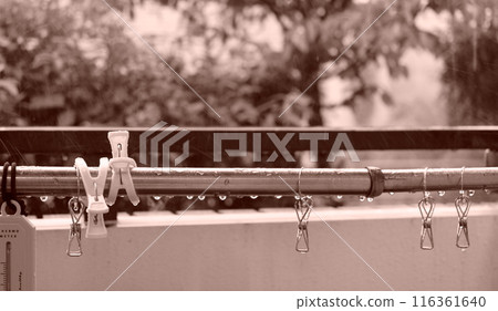 雨後晾曬衣服 雨後晾曬衣服 116361640