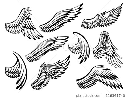 Wings sketch collection. Stylized birds wings. Hand drawn contoured stiker wing in open position. Vector design elements in coloring style Wings sketch collection. Stylized birds wings. Hand drawn contoured stiker wing in open position. Vector design elements in coloring style 116361740