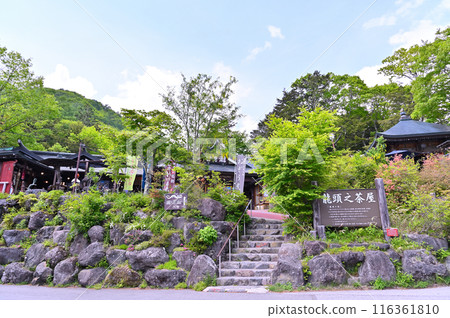 新綠和龍頭瀑布(栃木縣日光市) 新綠和龍頭瀑布(栃木縣日光市) 116361810
