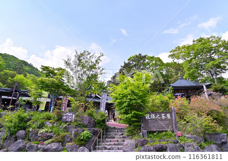 新綠和龍頭瀑布(栃木縣日光市) 新綠和龍頭瀑布(栃木縣日光市) 116361811
