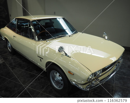 Domestically produced small passenger cars on display 116362579