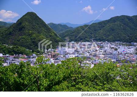Distant view of Shimoda city 116362626