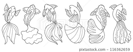 Set of graphic fish. Black and white contour drawing with various sea animals. Hand drawn illustration. Line sketch of a children's coloring book in doodle style. 116362659