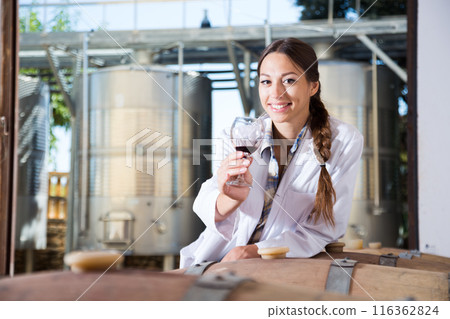 Professional checks the wine at factory in France 116362824