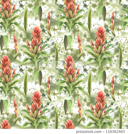 Tropical flower seamless pattern, red bromeliad buds and leaves on watercolor green splashes stains background. Exotic summer print floral Hawaiian clipart Hand drawn illustration for fabric Isolated 116362983