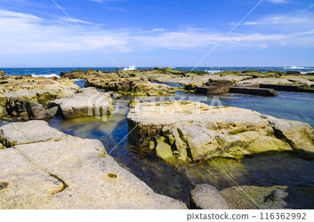 (Shizuoka Prefecture) The sea of Shimoda, Minamiizu (Shizuoka Prefecture) The sea of Shimoda, Minamiizu 116362992
