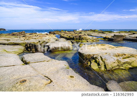 (Shizuoka Prefecture) The sea of Shimoda, Minamiizu (Shizuoka Prefecture) The sea of Shimoda, Minamiizu 116362993